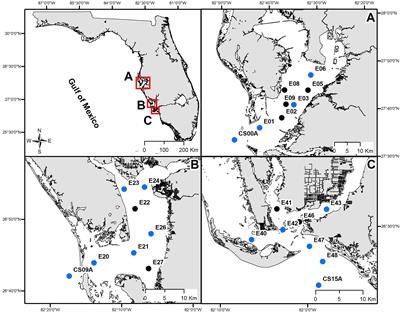 Nutrient and carbonate chemistry patterns associated with Karenia brevis blooms in three West Florida Shelf estuaries 2020-2023